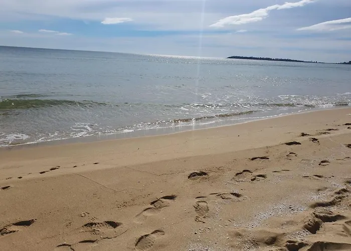 Ashton Hall - Sonnenstrand - Ost * Sunny Beach